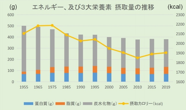 ３大栄養素、カロリー摂取量推移