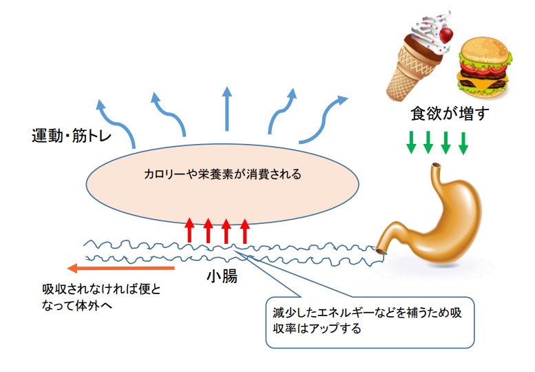 エネルギー循環