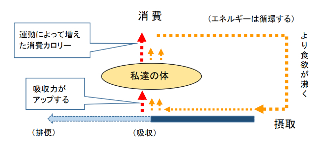 エネルギー循環