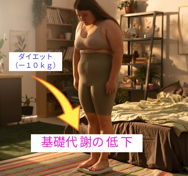 基礎代謝の低下