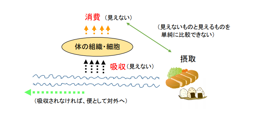 食べた物と消費量で比較は無理