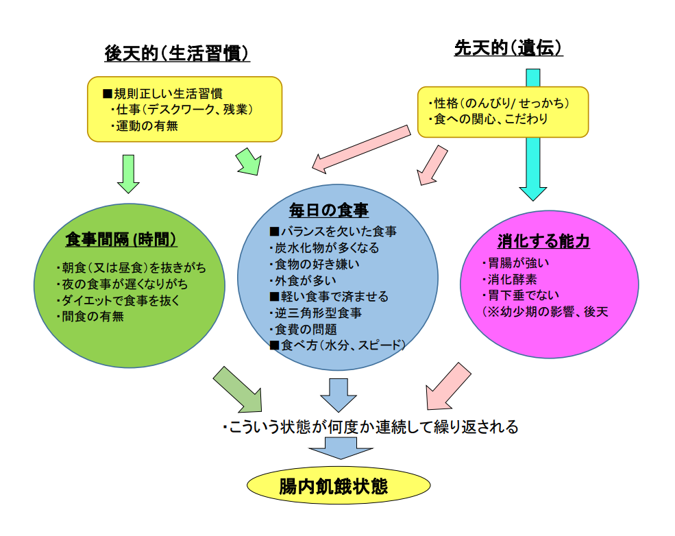 腸内飢餓ー相関図