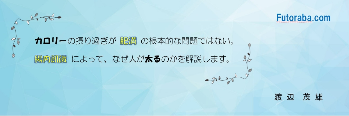 Top画像(日本語）